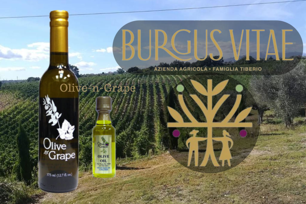 Burgus Vitae Extra Virgin Olive Oil - Olive-n-Grape